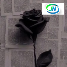 Marioo – Mama Mp3 Download